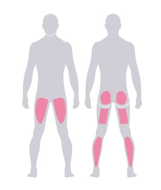 大腿四頭筋・ハムストリングス・大臀筋